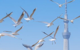 孩子沉迷手机的背后，藏着他们不敢说出口的需求